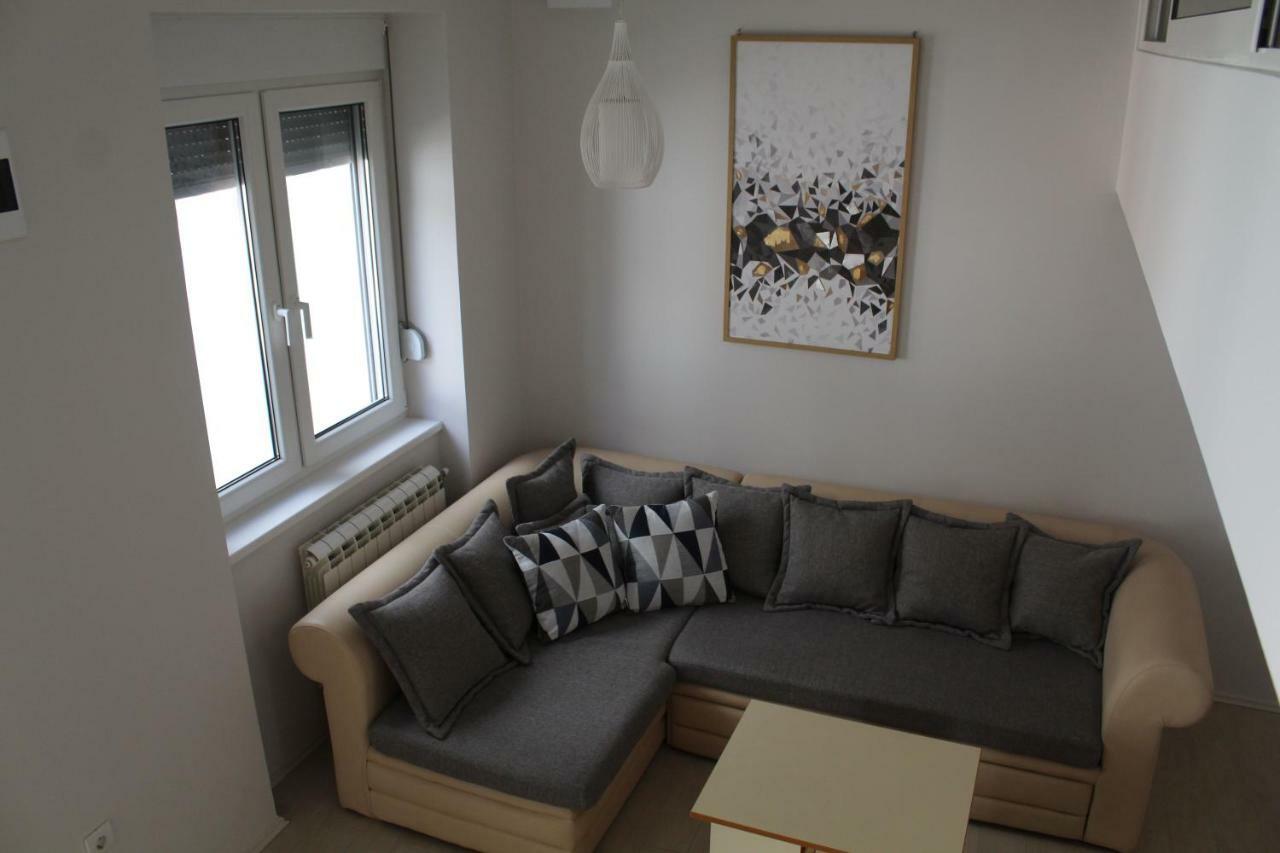 Cozy Gallery Apartment Újvidék Kültér fotó